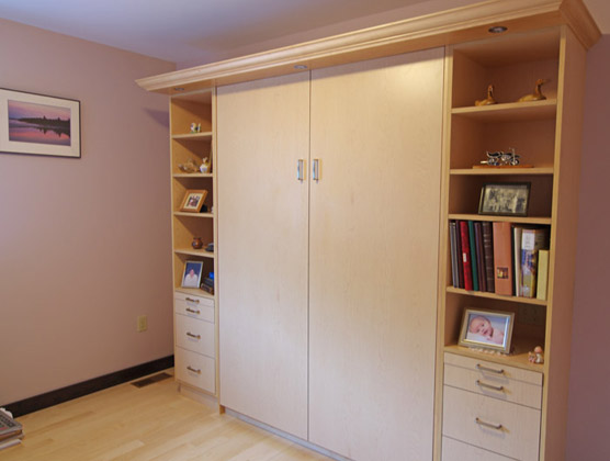 built-in hide-a-bed